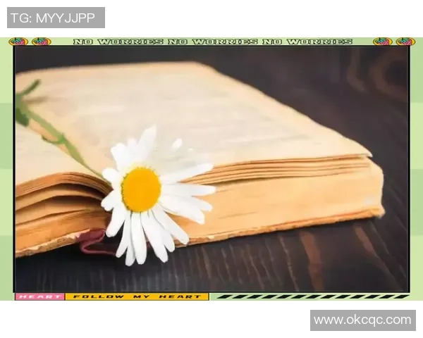 张帆：在风雨中扬帆起航，探索人生的无限可能与梦想的实现之路